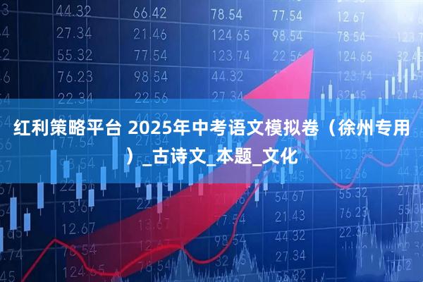 红利策略平台 2025年中考语文模拟卷（徐州专用）_古诗文_本题_文化