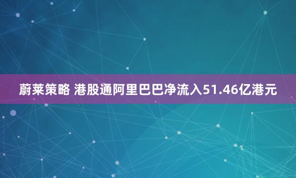 蔚莱策略 港股通阿里巴巴净流入51.46亿港元