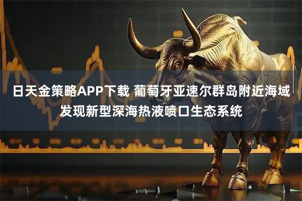 日天金策略APP下载 葡萄牙亚速尔群岛附近海域发现新型深海热液喷口生态系统