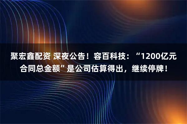 聚宏鑫配资 深夜公告！容百科技：“1200亿元合同总金额”是公司估算得出，继续停牌！