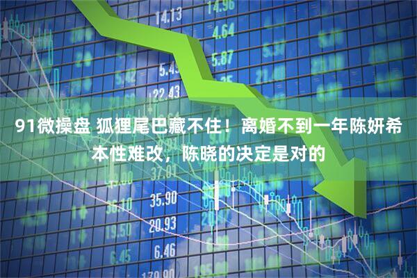 91微操盘 狐狸尾巴藏不住！离婚不到一年陈妍希本性难改，陈晓的决定是对的